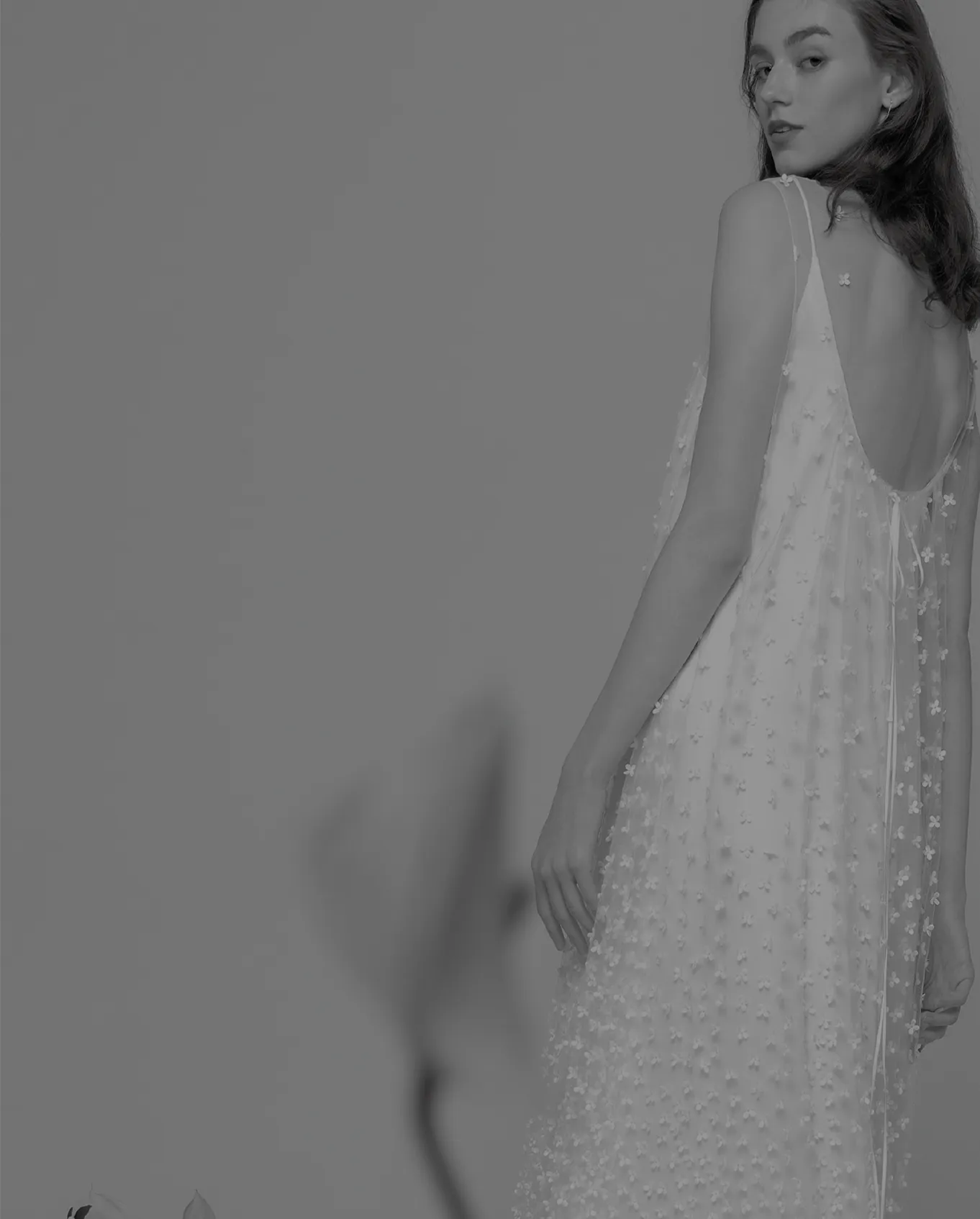 フィーチャー画像1