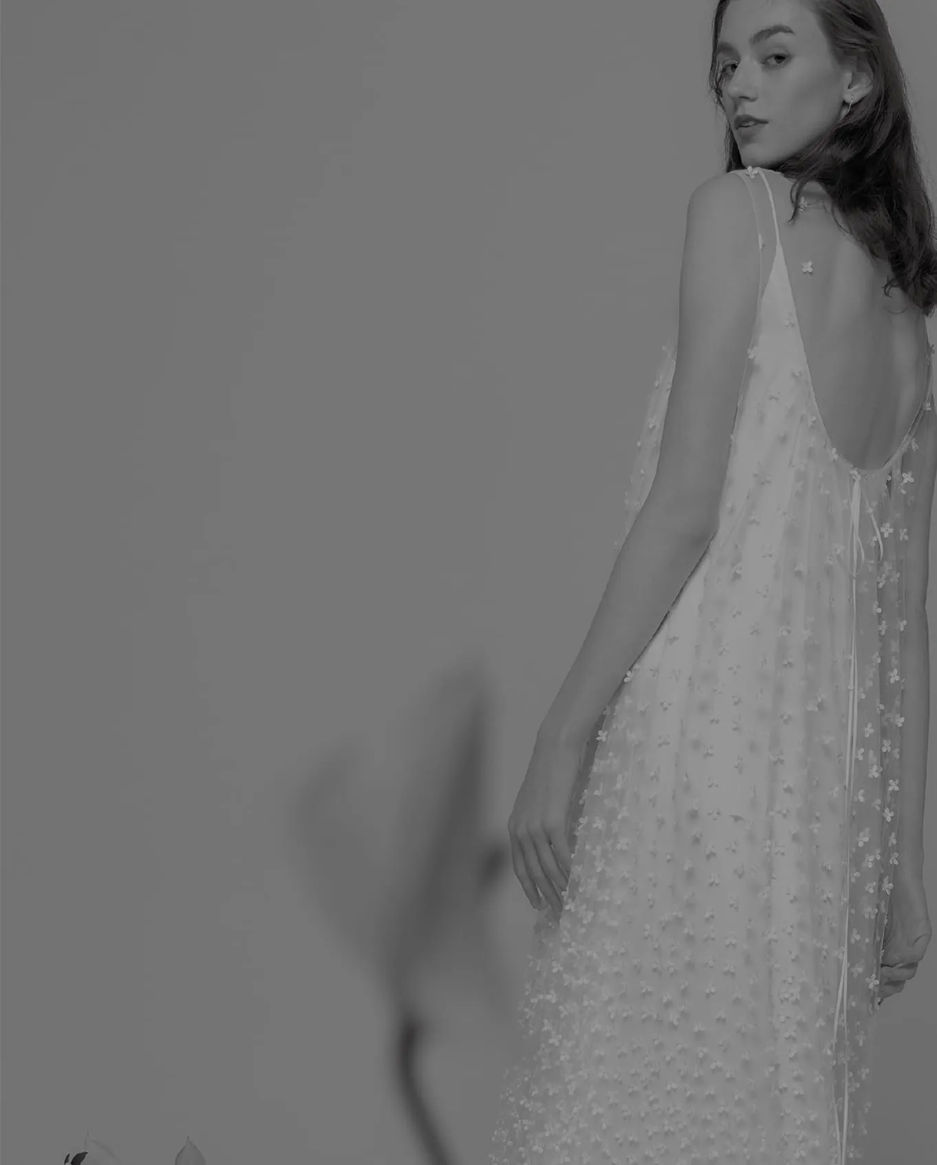 フィーチャー画像1