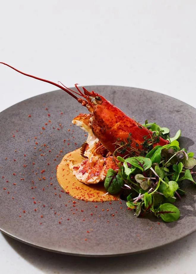 料理&ケーキ画像3