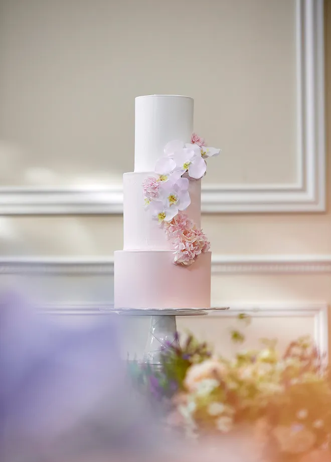 料理&ケーキ画像4