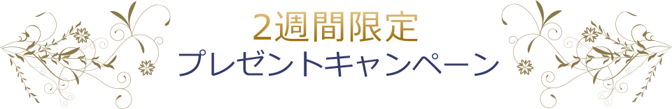 2週間限定プレゼントキャンペーン