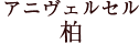 アニヴェルセル 柏
