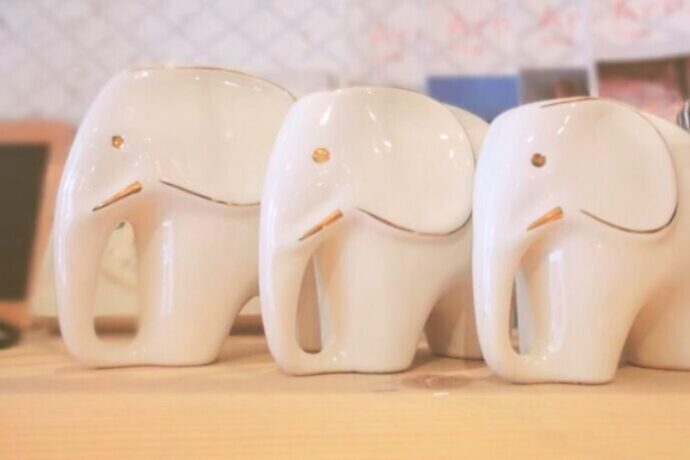 14年目の結婚記念日の象牙婚式