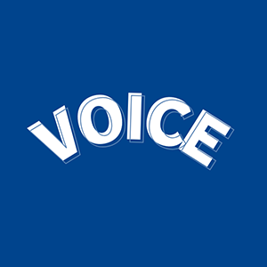 voice(コメント)