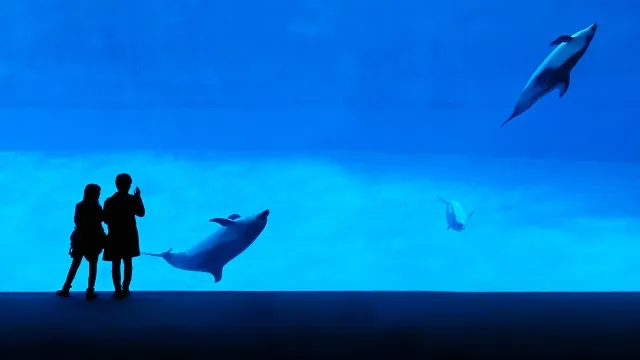 水族館