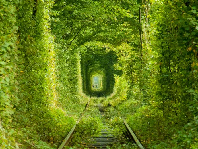 ウクライナ – 緑に囲まれた「愛のトンネル」