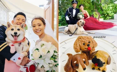 愛犬愛猫も一緒に結婚式♡ペット婚アイデアショット10選【今週のスタスナ】