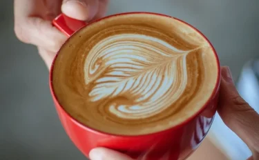 カフェオレ、カフェラテ、カプチーノ、コーヒー牛乳の違いは何？【4月20日は「珈琲牛乳の日」】