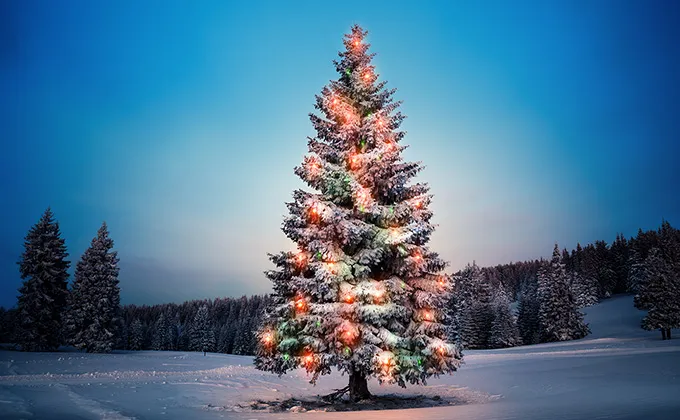 幸せをもたらすクリスマスツリー