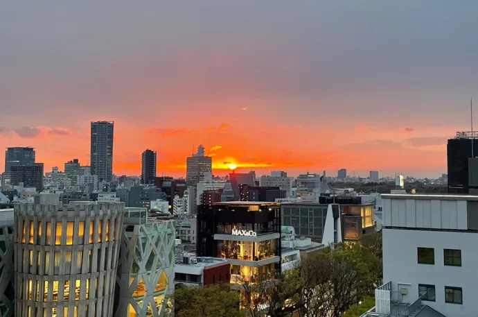 夕日