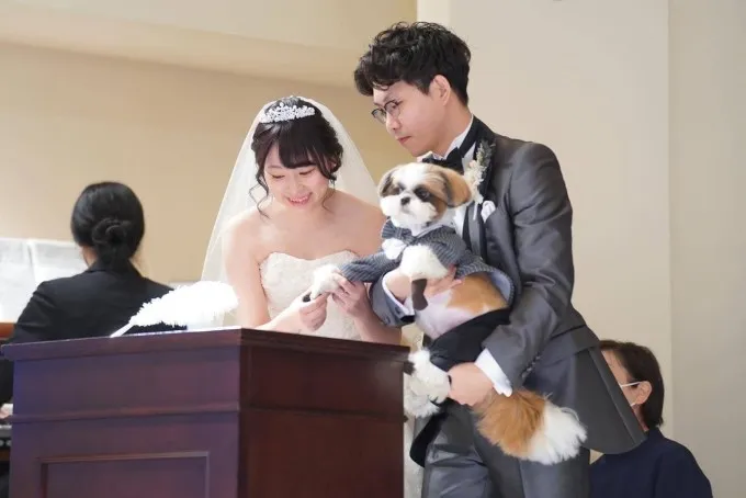 結婚証明書に肉球スタンプを押す犬