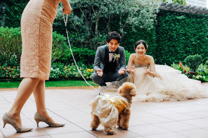 結婚式,犬,演出