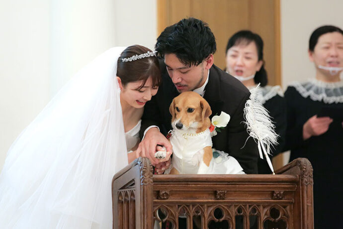 結婚式,犬,演出