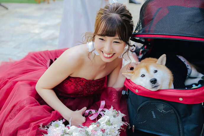 結婚式,犬,演出