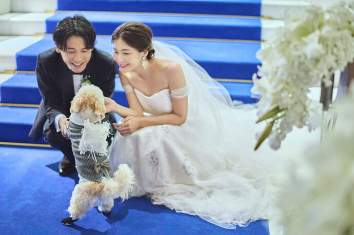 アニヴェルセルのペット婚