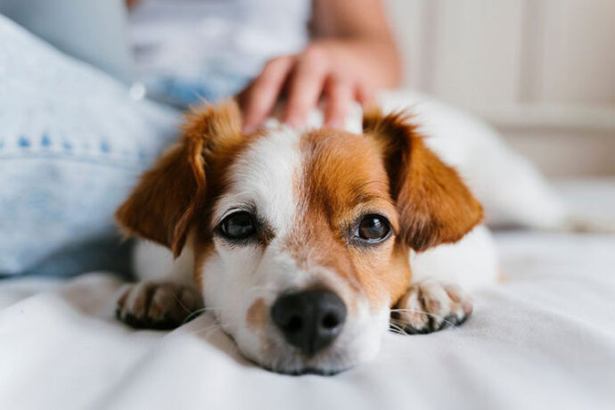 彼氏の両親と食事会