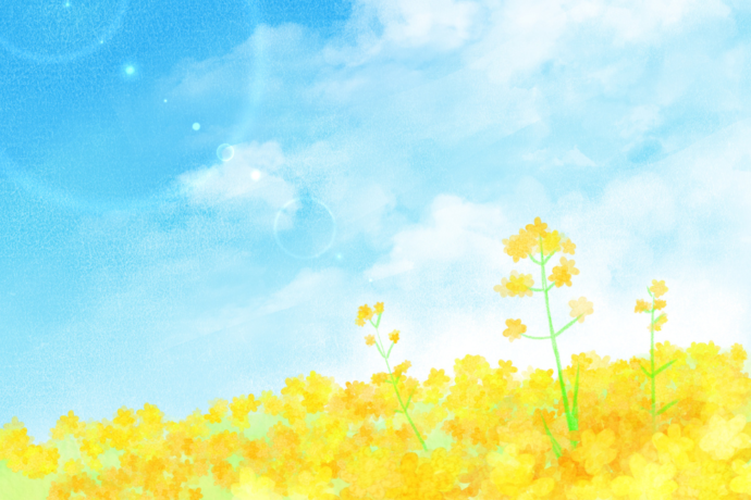 春のデートプラン（菜の花）