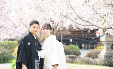 春の結婚式におすすめの桜ウェディング♡おすすめ演出アイデア【3月27日「さくらの日」】