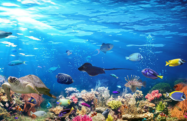 水族館