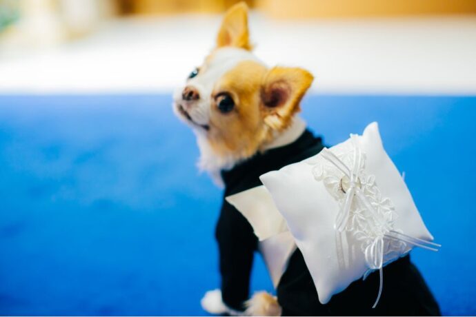 結婚式の珍しい演出