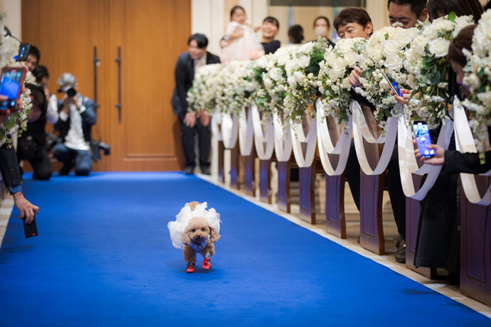 TATSUさんと足立梨花さんの結婚式レポート