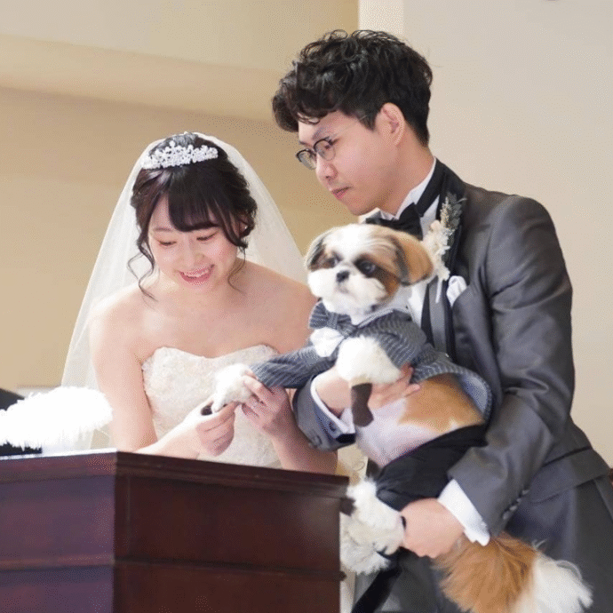 ②ペットの肉球スタンプで結婚証明書