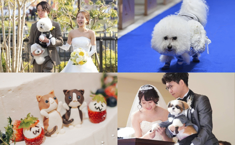 『ペット婚』♡愛犬愛猫と一緒に過ごす結婚式の演出6選【今週のスタスナ】