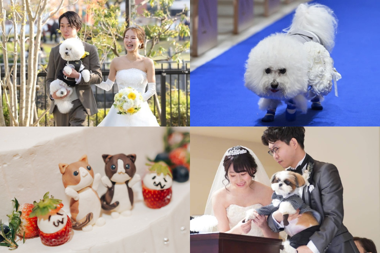 『ペット婚』♡愛犬愛猫と一緒に過ごす結婚式の演出6選【今週のスタスナ】