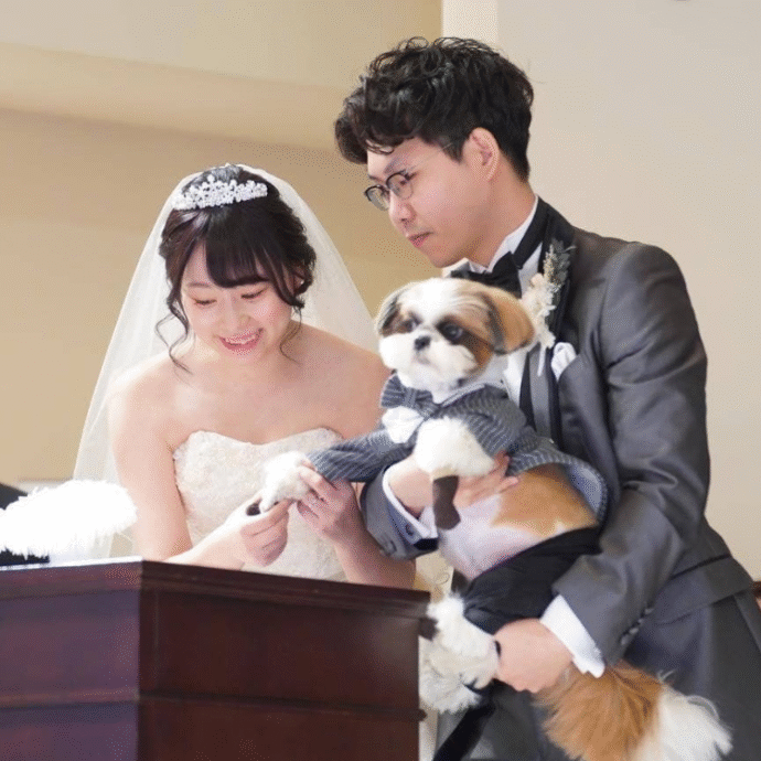 ⑥ペット婚の面白い演出「肉球スタンプで記念サイン」