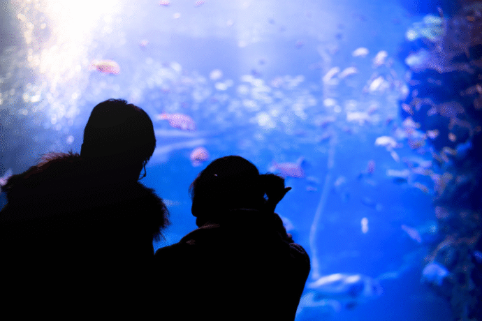ロマンティックな水族館デート