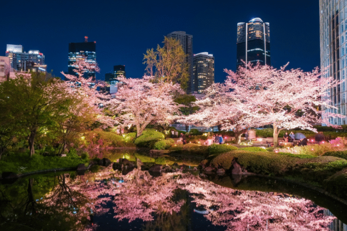 【春】お花見や夜桜デートを満喫