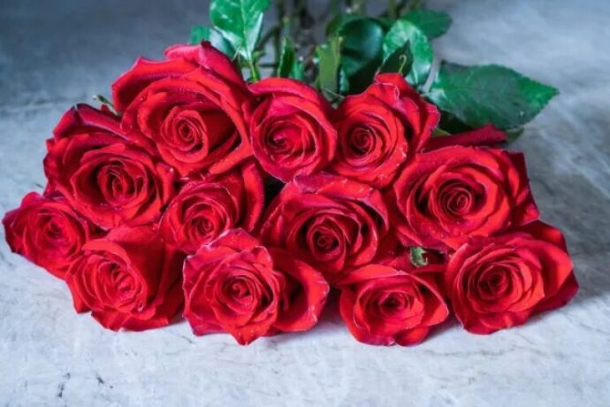 ダーズンローズ