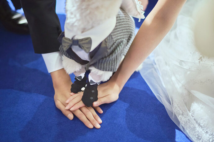 アニヴェルセルのペット婚