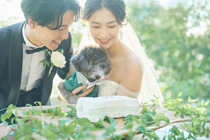 アニヴェルセルのペット婚